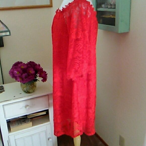 Miholl Bright Red Lace Dress - Picture 5 of 9